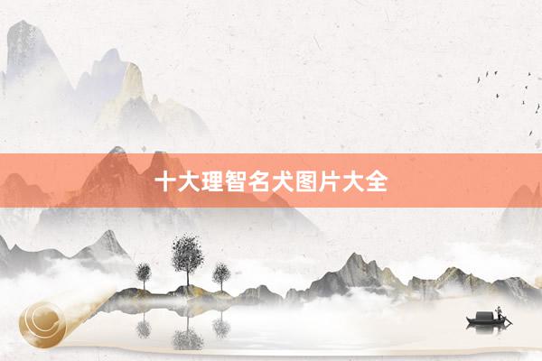 十大理智名犬图片大全
